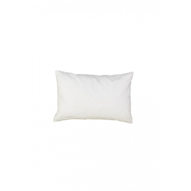 Intérieur de Coussin 40x60