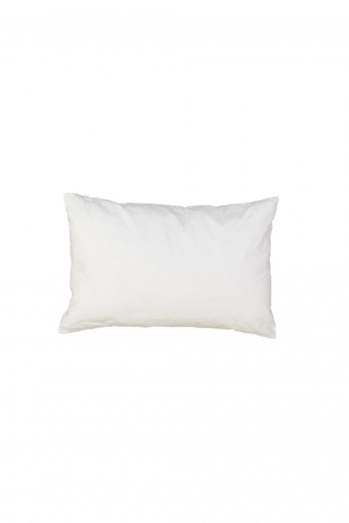 Intérieur de Coussin 40x60