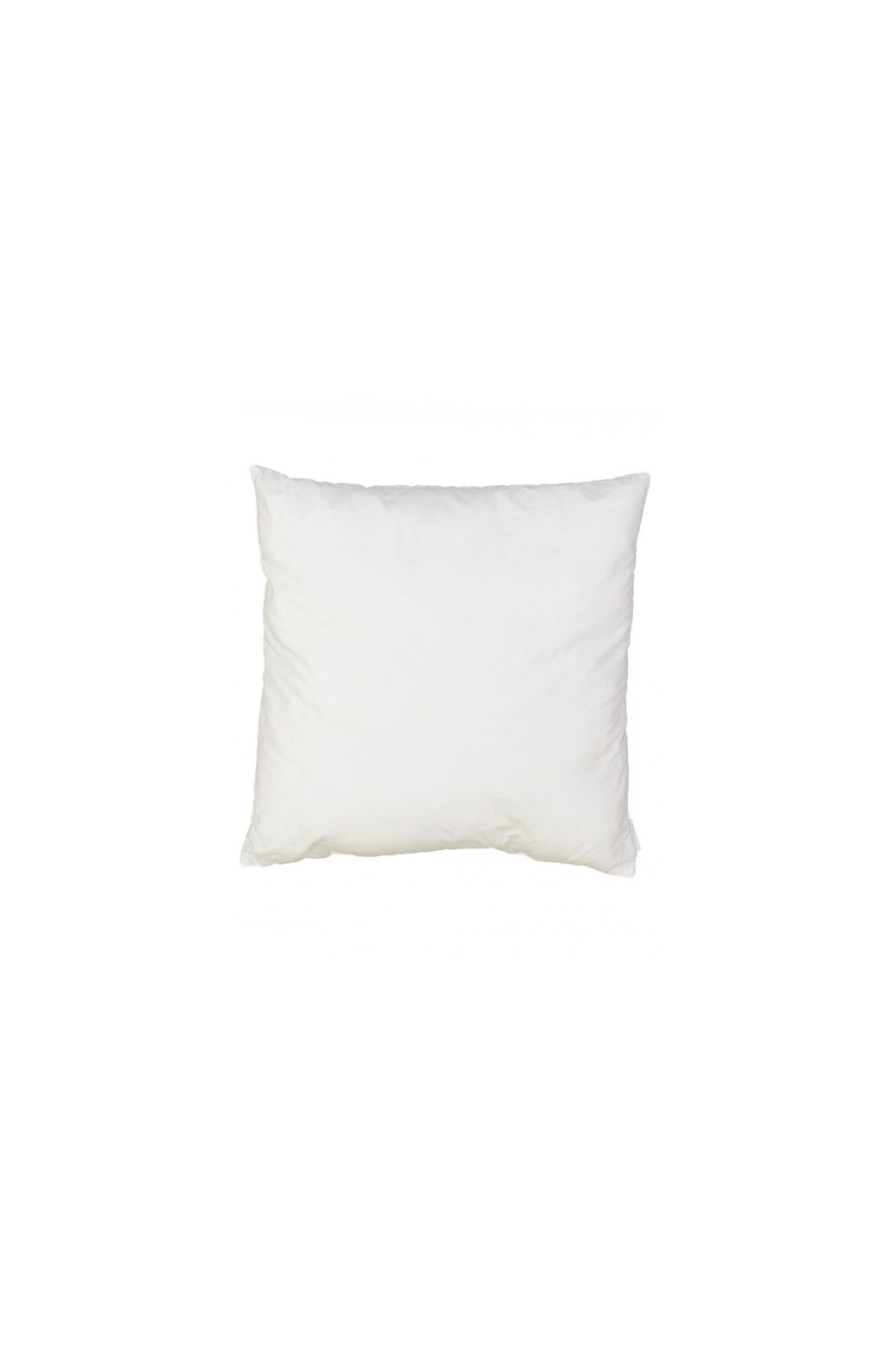 INTERIEUR DE COUSSIN 50x50